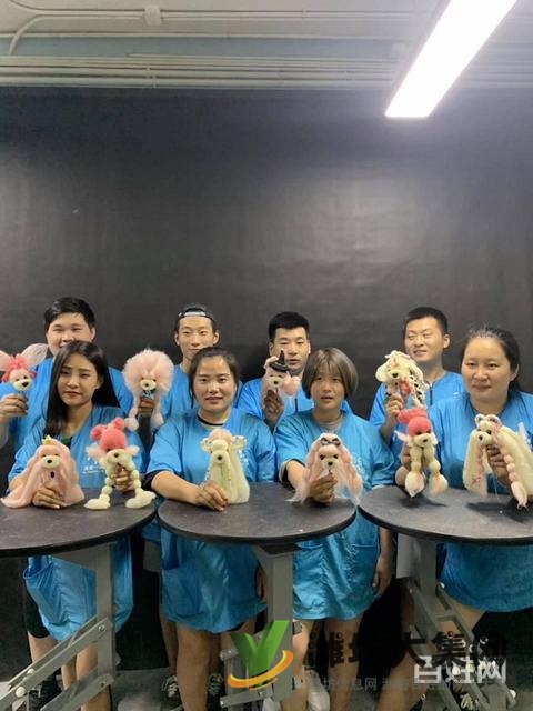 諸城專業寵物美容學校? 一諾寵物美容培訓